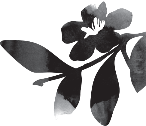 flor 1